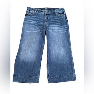 a.n.a Blue Flare Wide Leg Jeans